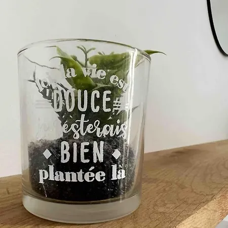 Le Dolce